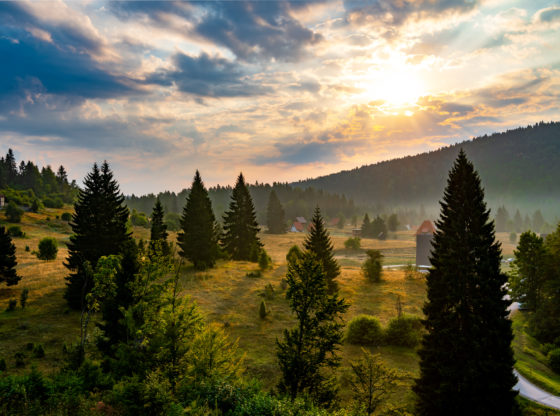 Nezaposlenost, pad izvoza, proizvodnje i turizma – uticaj pandemije na privredu Srbije u aprilu