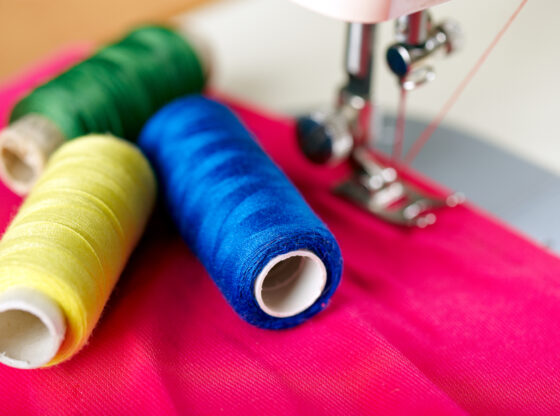 Šta smo zaista dobili privatizacijom?