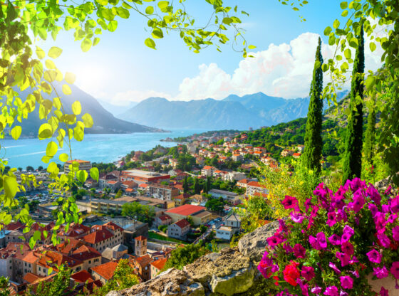 Budućnost crnogorskog ekonomskog tigra